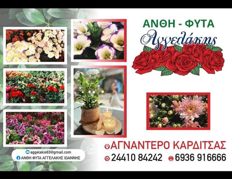 ΑΝΘΗ ΦΥΤΑ ΑΓΓΕΛΑΚΗΣ ΙΩΑΝΝΗΣ - ΘΕΡΜΟΚΗΠΙΑ ΑΓΝΑΝΤΕΡΟ ΚΑΡΔΙΤΣΑΣ - ΑΝΘΗ ΦΥΤΑ ΑΓΝΑΝΤΕΡΟ ΚΑΡΔΙΤΣΑ